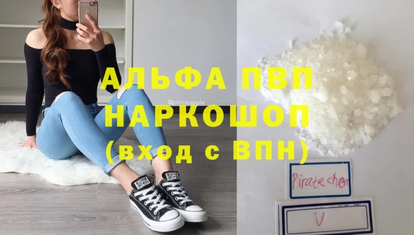 твердый Ладушкин