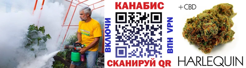Купить где  Семёнов  Канабис ГИДРОПОН 